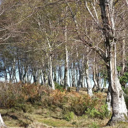 Quinta Das Glicinias