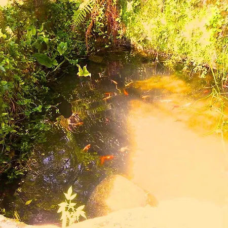 Quinta Das Glicinias